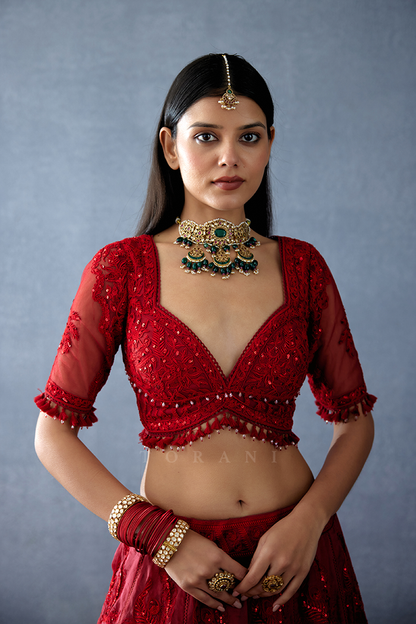 Gulmohar Pankhuri Blouse