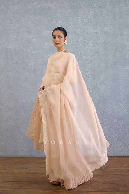 Gul-Mohar Aanya Kurta Set