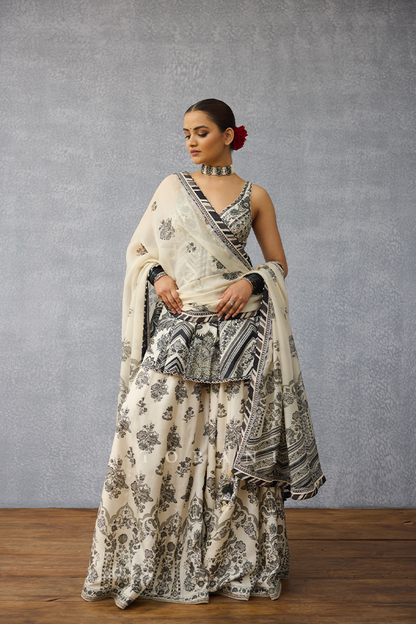 Kalamkari Charu Odhni