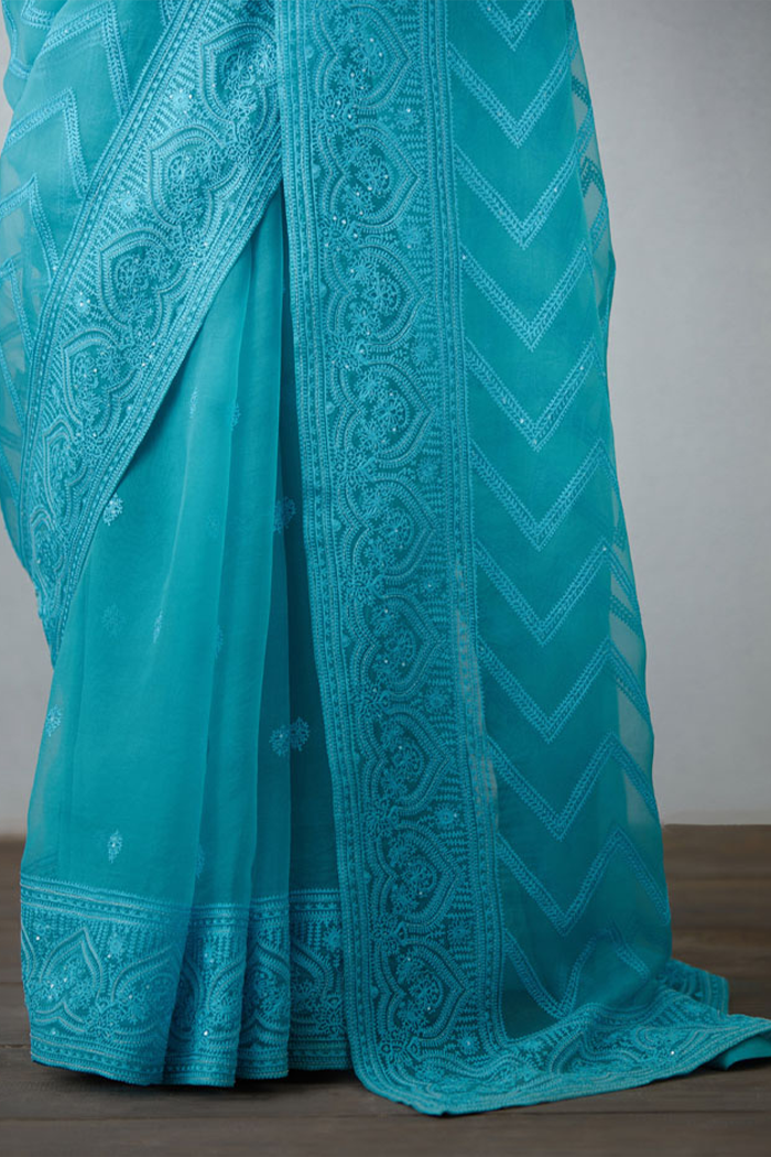 Heavy embroidered border organza saree