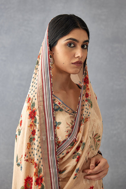 Badami Parnika Saree