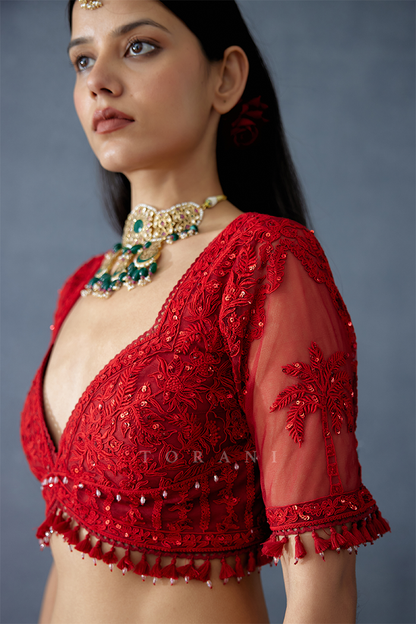 Gulmohar Pankhuri Blouse