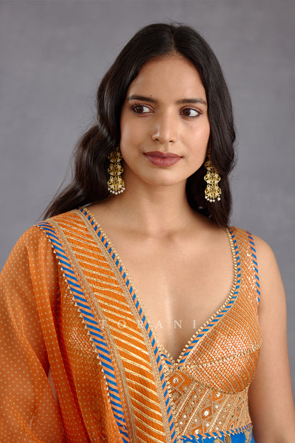 Rang Shyam Raabia Anarkali Set