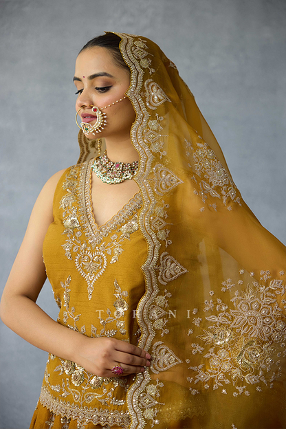 Mehre Aafreen Lehenga Set