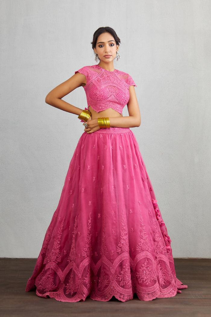 RANI COLOR LEHENGA SET