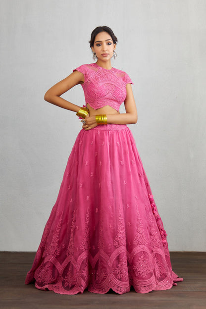 RANI COLOR LEHENGA SET