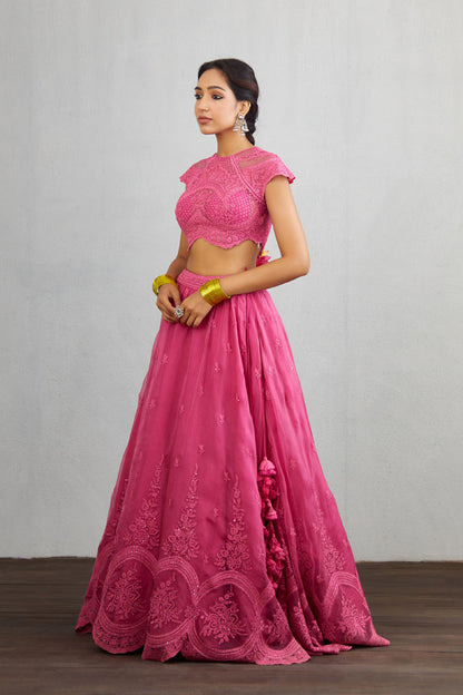 Dark pink embroidered lehenga set