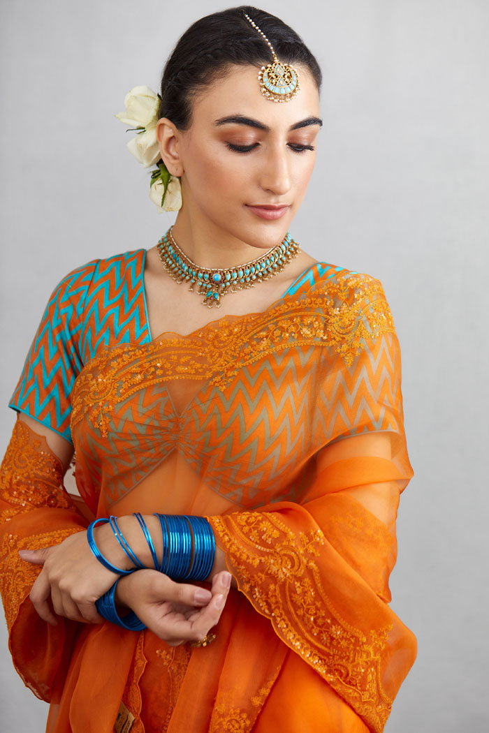 luxury organza saree having hand embroidery