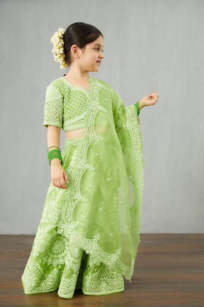 SALE - Angoori Meher Paasa Lehenga Set