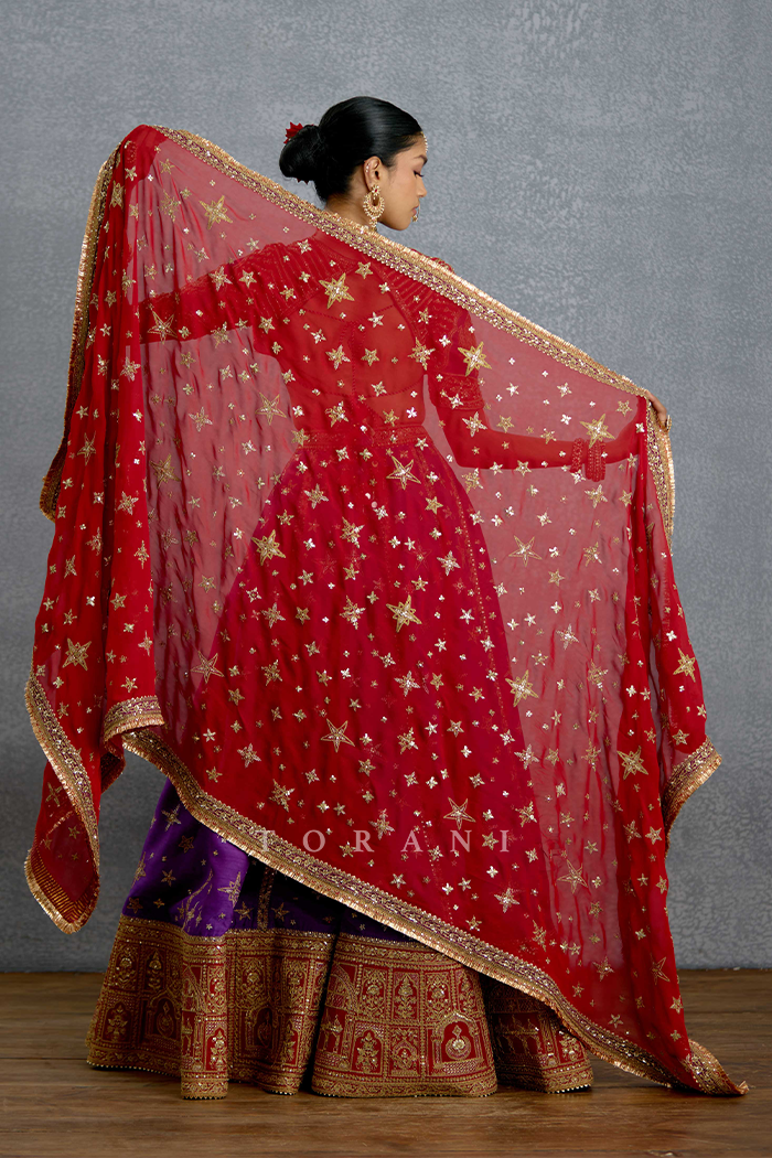 Banafsha Zehra Aks Lehenga Set