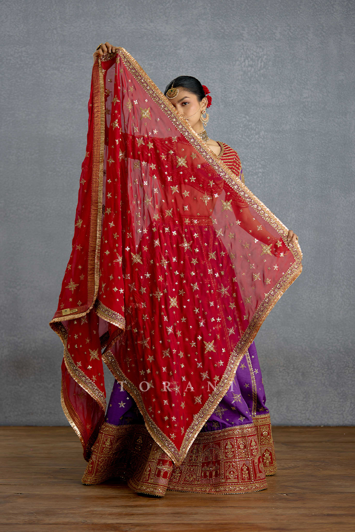 Banafsha Zehra Aks Lehenga Set
