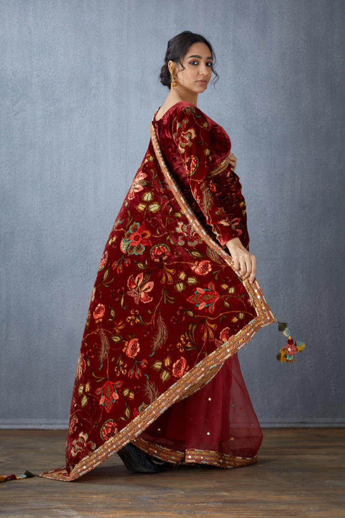 Red Half &amp; half saree in organza &amp; silk velvet