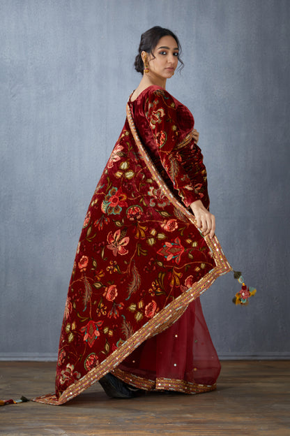 Red Half &amp; half saree in organza &amp; silk velvet