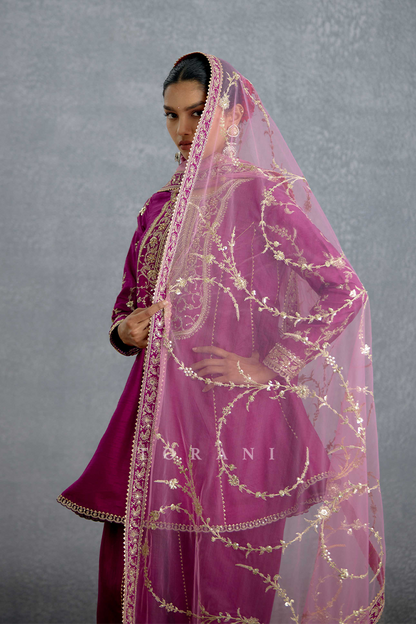 Anarshi Banafsha Kurta Set