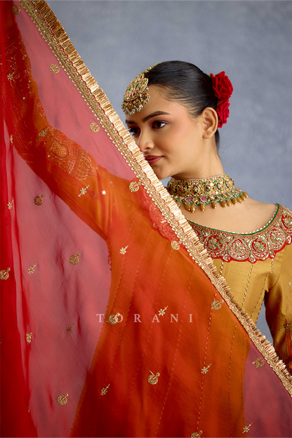 Noor Zehra Anarkali Set