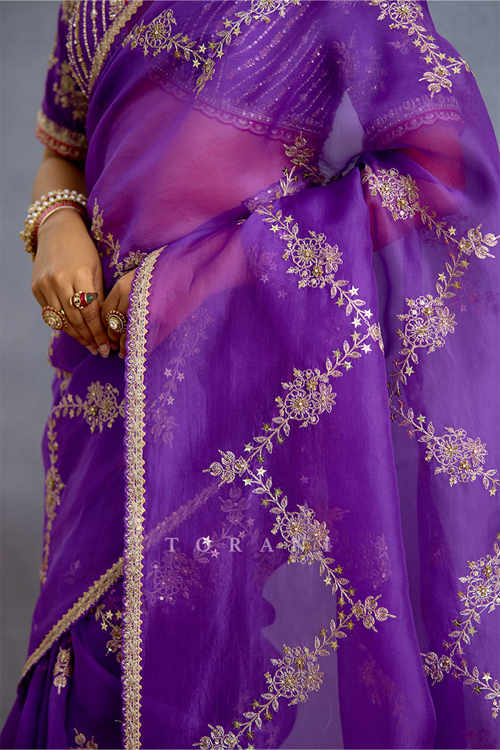 Banafsha Zareen Kinaar Saree