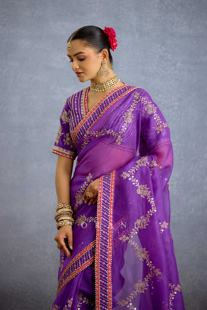 Banafsha Zareen Dastoor Saree