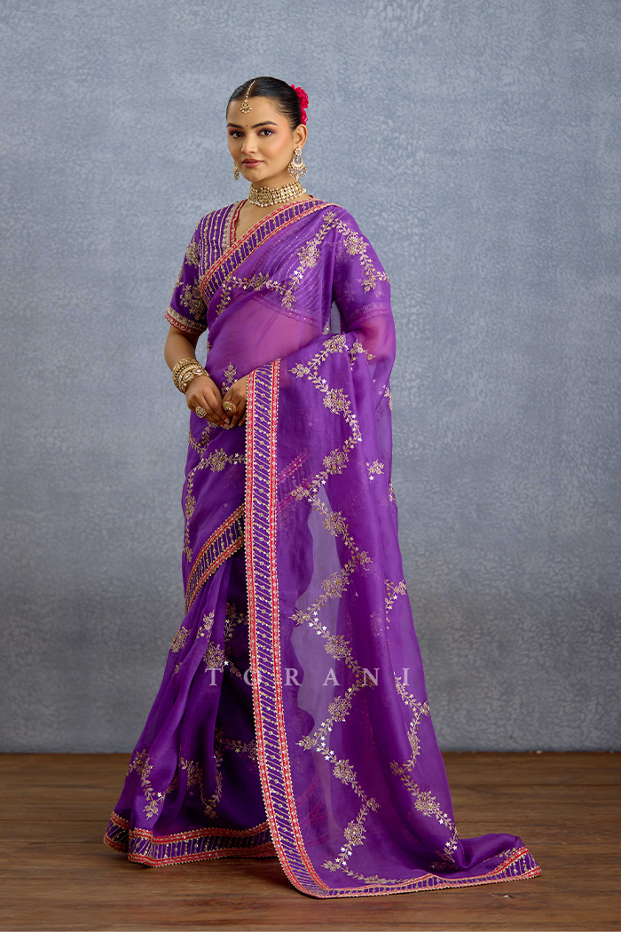 Banafsha Zareen Dastoor Saree