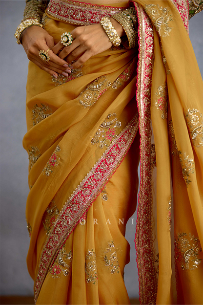 Naargis Zard Naureen Saree