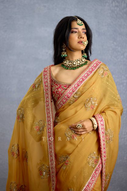 Naargis Zard Naureen Saree