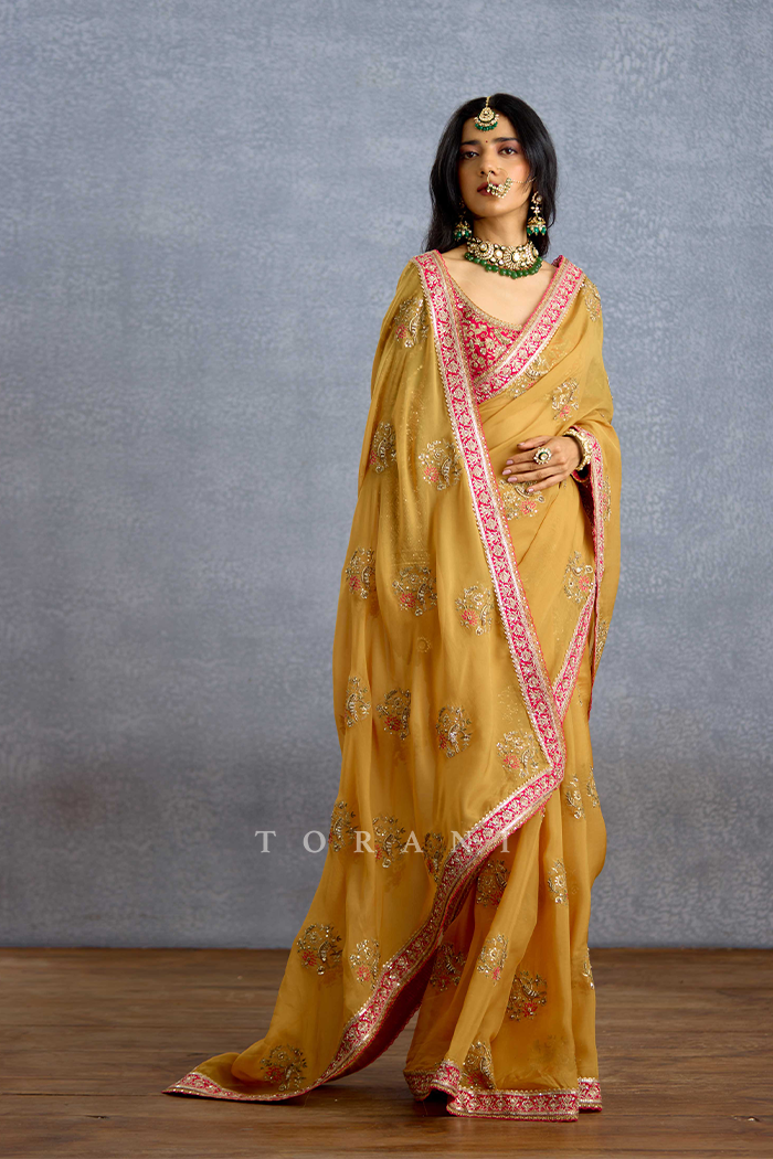 Naargis Zard Naureen Saree