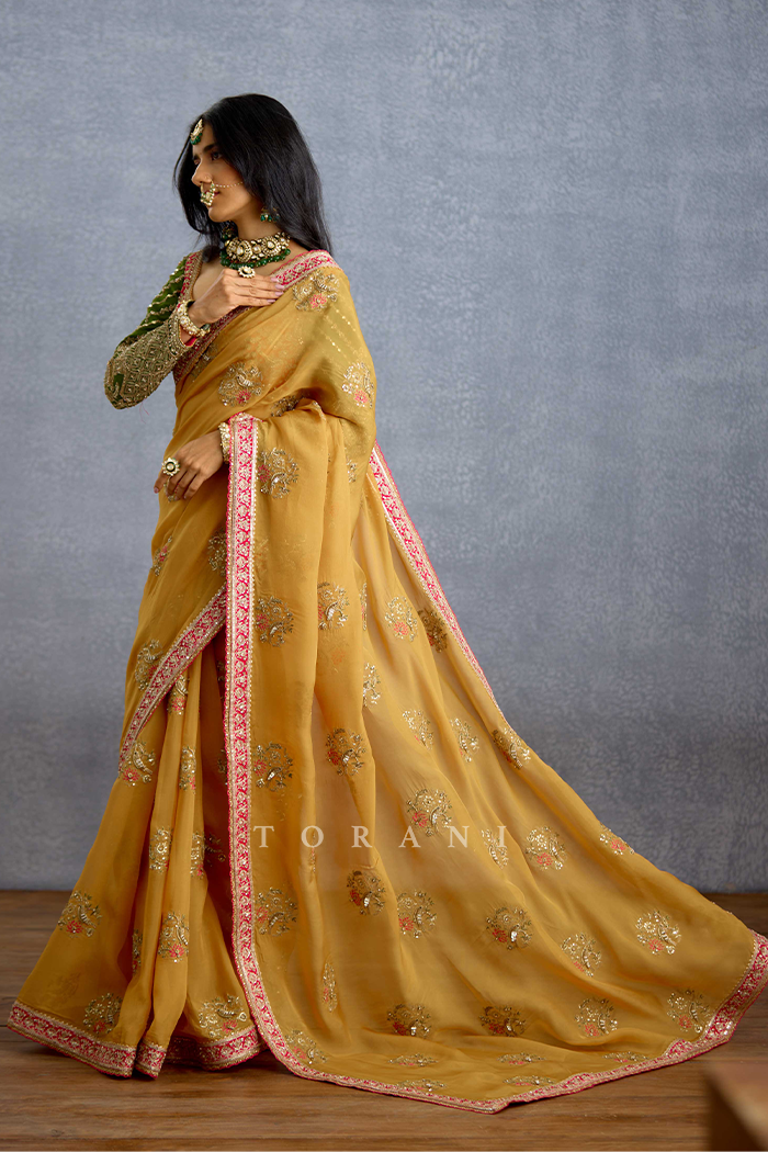 Naargis Zard Naureen Saree