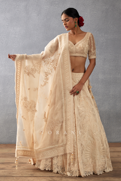 Mradu Advika Lehenga Set