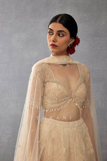 Mradu Pankhuri Odhni