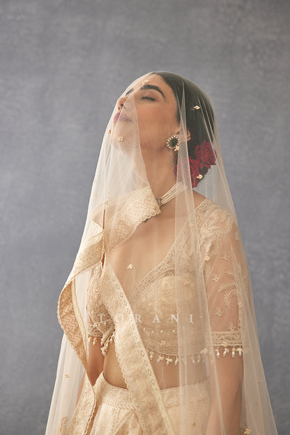 Mradu Pankhuri Lehenga Set