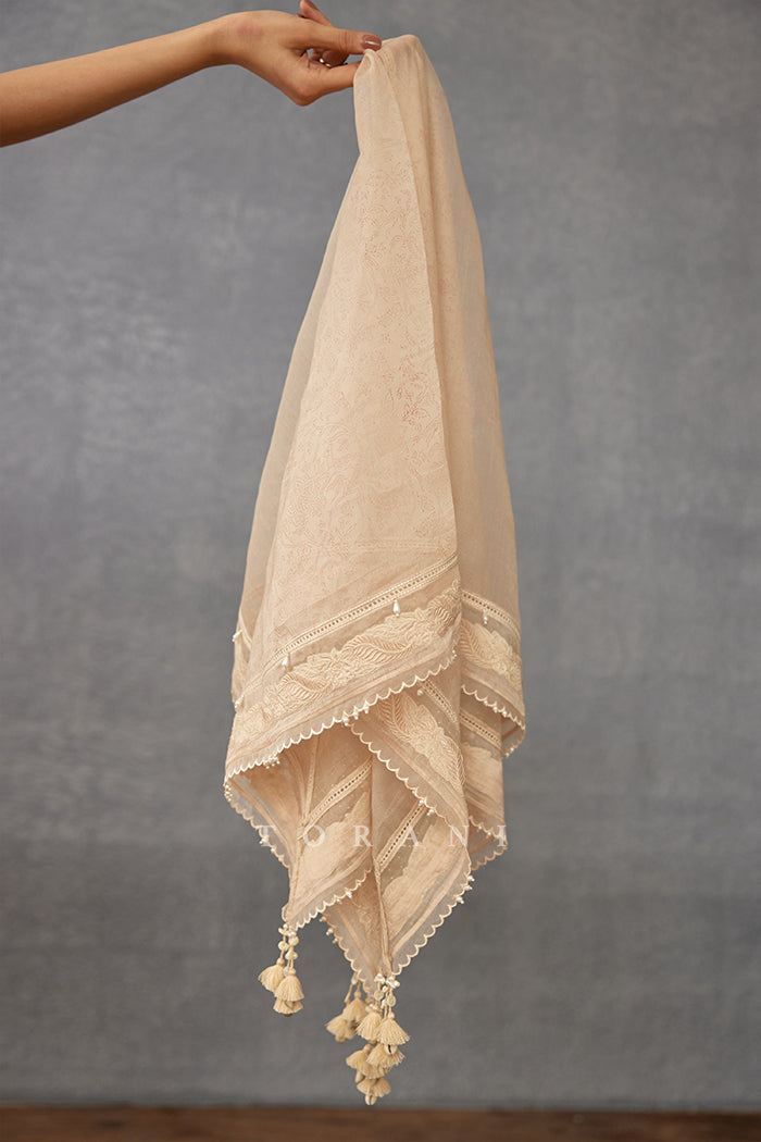 Mradu Nirvi Scarf