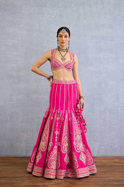 Padma Nyra Lehenga Set