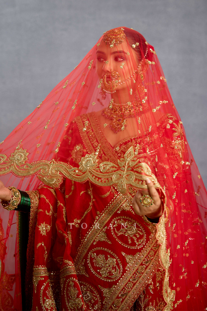 Zehra Malikaana Lehenga Set