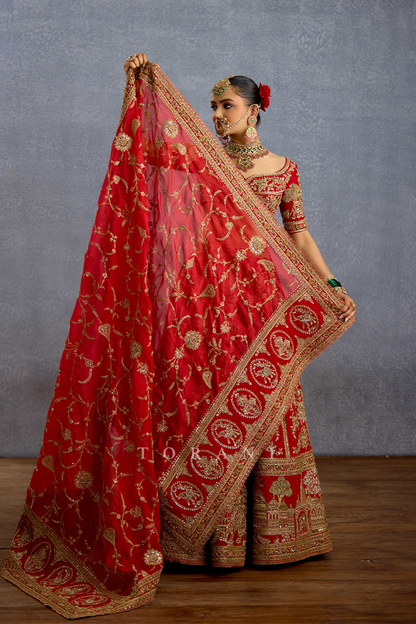Zehra Malikaana Lehenga Set