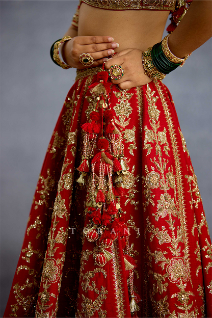 Zehra Malikaana Lehenga Set