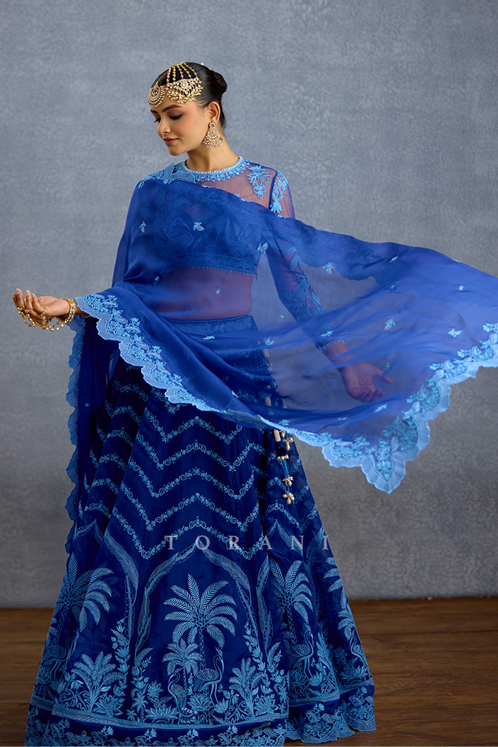 Shayamala Indira Lehenga Set