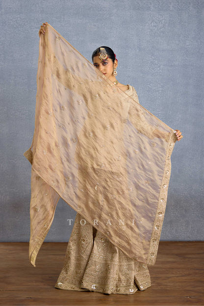 Zard Noor Malka Gharara Set