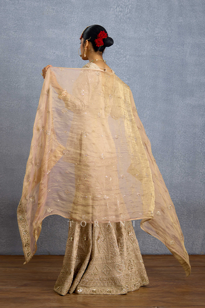 Zard Noor Malka Gharara Set