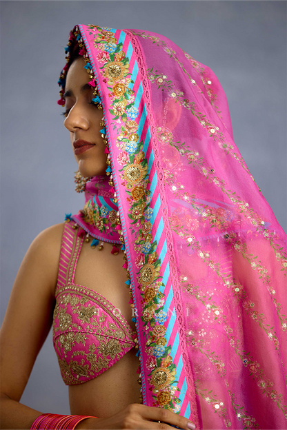 Rang Jhilmil Gulnaar Odhni
