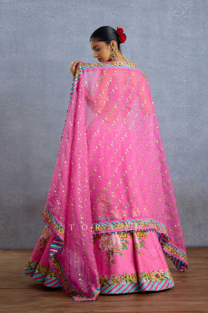 Rang Jhilmil Gulnaar Lehenga Set