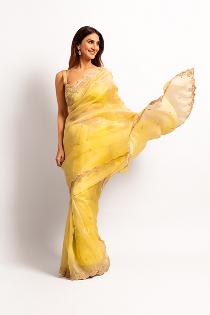 Vaani Kapoor in Our Gul-Mina Nayantara Zarra Saree Set