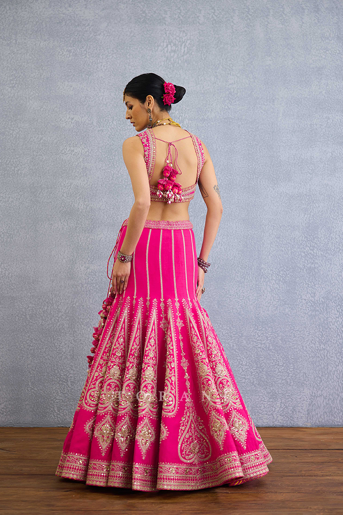 Padma Nyra Lehenga Set
