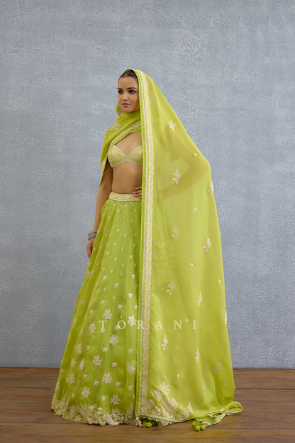 Angoori Avani Lehenga Set