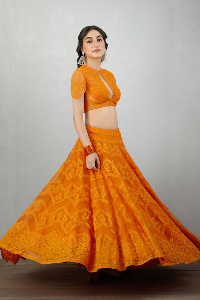Organza Lehenga Set with hand Embroidery