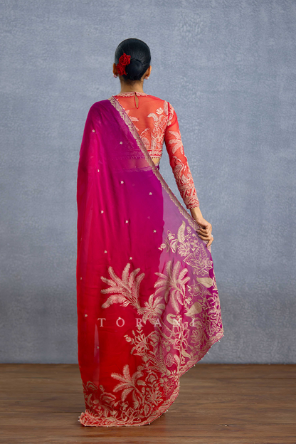 Damini Laalima Ombre Saree