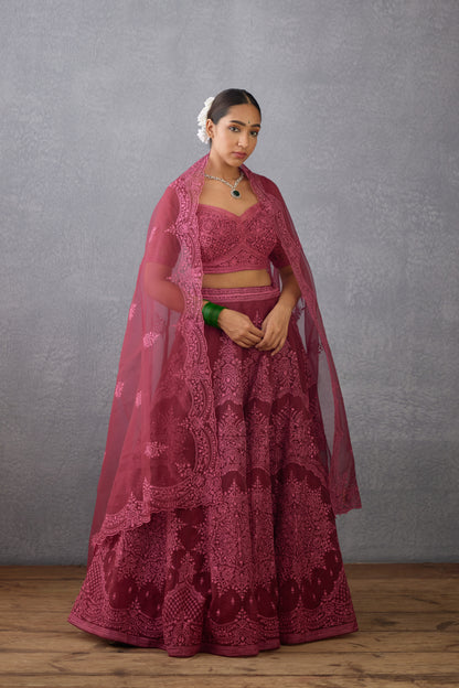 Gulkand Meher Passa Lehenga Set