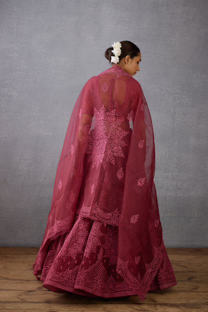 Gulkand Meher Passa Lehenga Set