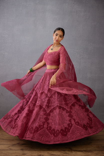 Gulkand Meher Passa Lehenga Set