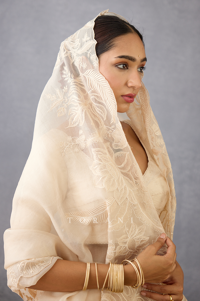 Mradu Anika Lehenga Set