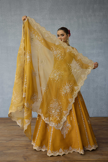 Mehre Aafreen Lehenga Set