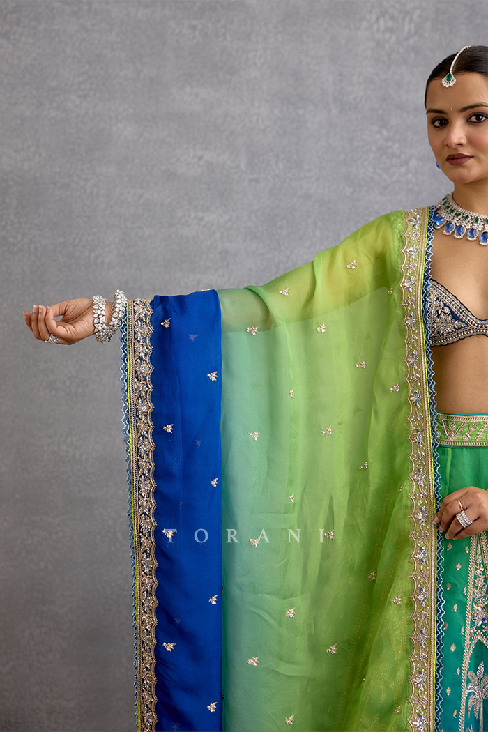 Varnika Meera Lehenga Set